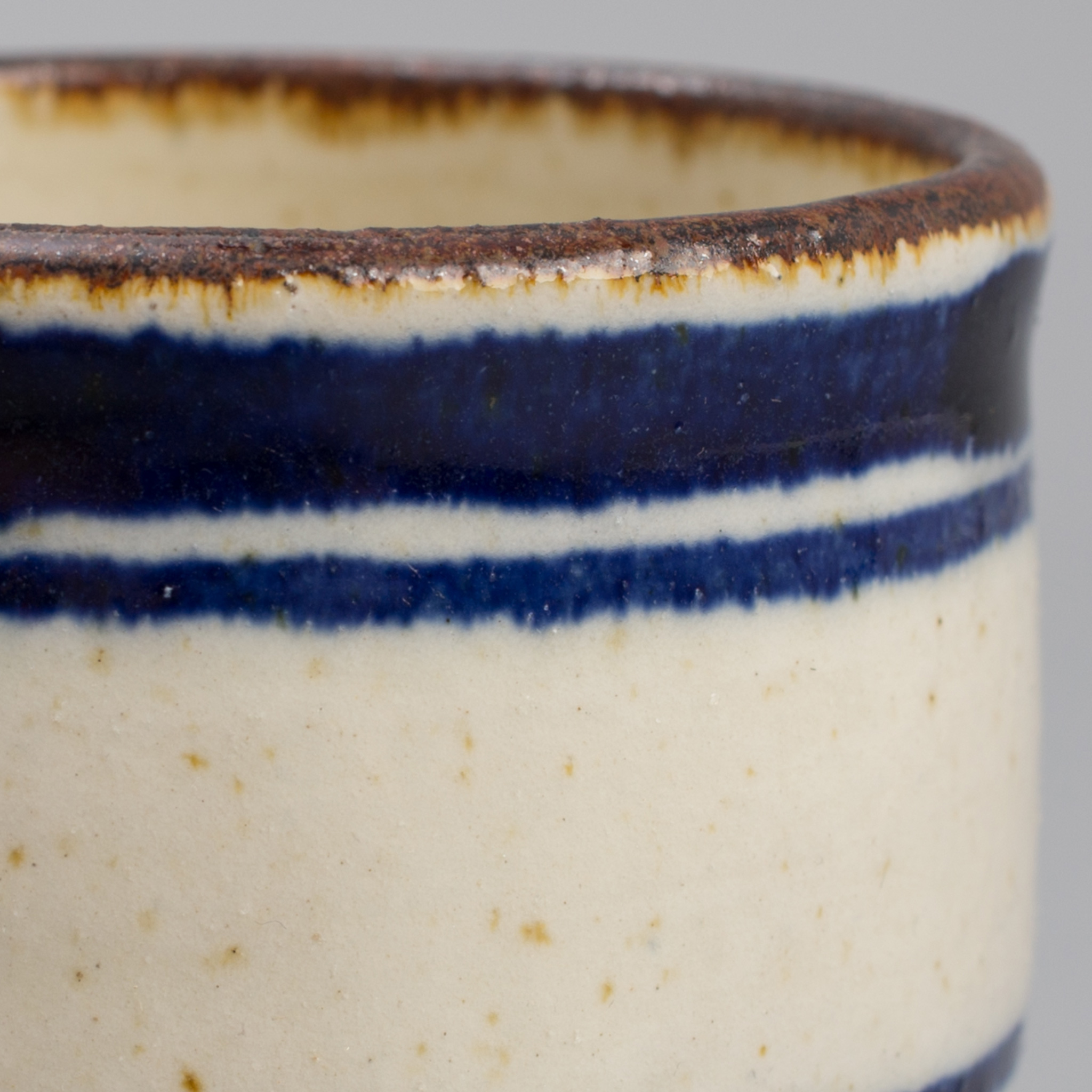 The Hill-Side Endo Stripes Beer Tumbler
